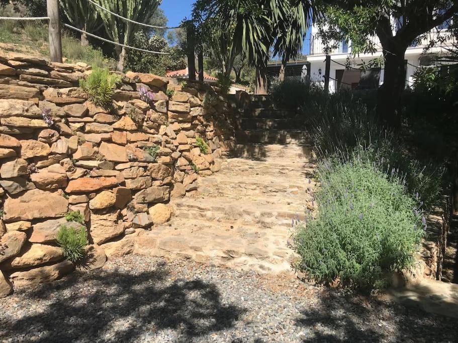Penthouse Apartment, Cortijo Fruitful Hills Málaga Exterior foto